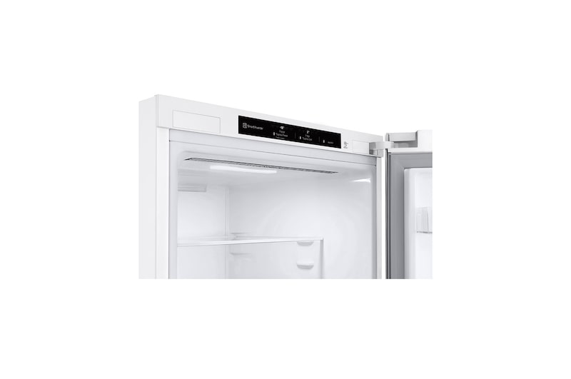 LG.CO.GBV3100ESW_005