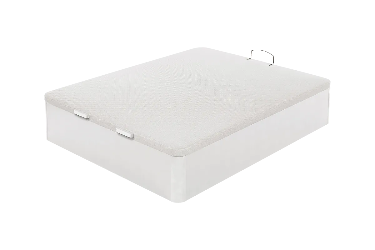 MF.BA.WD25200X105B_002