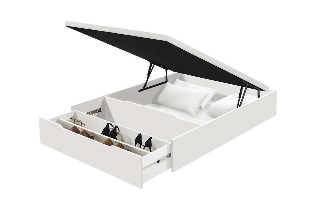 MF.BA.WD25SB200105_001