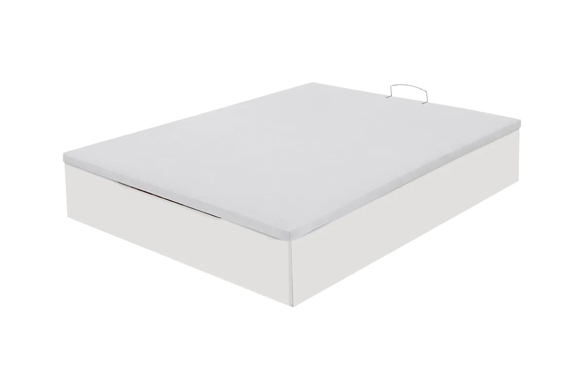 MF.BA.WD25SB200160_003