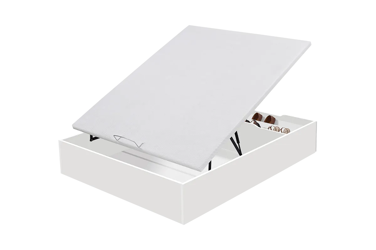 MF.BA.WD25SB200160_005