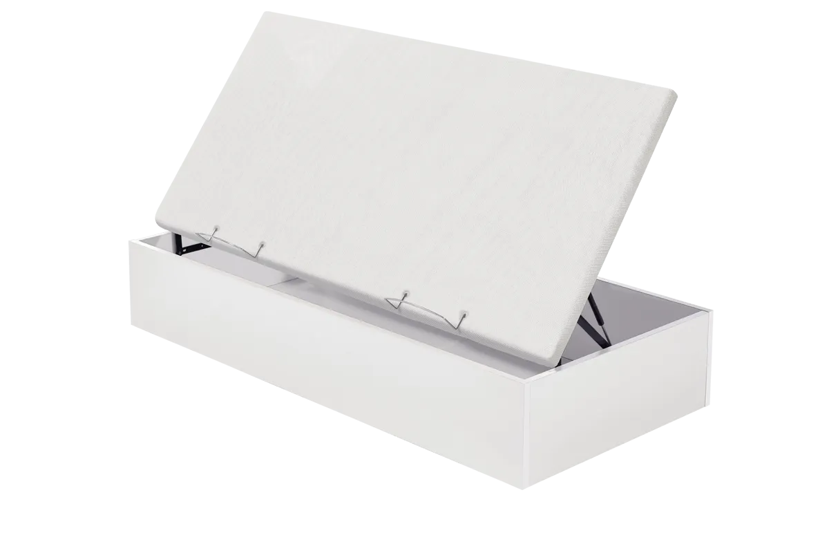 MF.BA.WDLATB19080_003